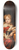 Nicolaes Maes - Portrait of a girl 8.25 inch art skate deck