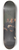 Nicolai Abildgaard - Absolute Monarchy Assigned to Frederik III in 1660 8.25 inch art skate deck