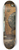 Antonio Aquaroni - Ponte Cestio In Rome 8.25 inch art skate deck