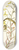 Nikolaus Joseph Freiherr von Jacquin - Albuca major 8.25 inch art skate deck