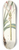 Nikolaus Joseph Freiherr von Jacquin - Amaryllis longifolia 8.25 inch art skate deck