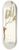 Nikolaus Joseph Freiherr von Jacquin - Astragalus leontinus 8.25 inch art skate deck