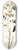 Nikolaus Joseph Freiherr von Jacquin - Cassia sennoides 8.25 inch art skate deck