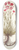Nikolaus Joseph Freiherr von Jacquin - Dianthus sylvestris 8.25 inch art skate deck