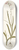 Nikolaus Joseph Freiherr von Jacquin - Ixia falcata 8.25 inch art skate deck