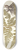 Nikolaus Joseph Freiherr von Jacquin - Polypodium multifidum 8.25 inch art skate deck