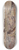 Otto Miller-Diflo - Herbstabend im Moos 8.25 inch art skate deck