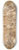 Antonio Zucchi - An English Family Group 8.25 inch art skate deck