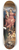 Paris Bordone - Madonna with Child Enthroned and Saints 8.25 inch art skate deck