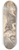 Paul Troger - The Dead Christ with Angels 8.25 inch art skate deck