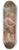 Peter Paul Rubens - Peace Embracing Plenty 8.25 inch art skate deck