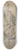 Peter Paul Rubens - Portrait of Nicolas Trigault in Chinese Costume 8.25 inch art skate deck