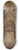 Peter Paul Rubens - The Arch of the Mint (reverse) 8.25 inch art skate deck