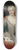 Pier Leone Ghezzi - Portrait of Maria Clementina Sobieska 8.25 inch art skate deck