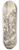 Pier Leone Ghezzi - The Consecration of Saint Juliana Falconieri 8.25 inch art skate deck