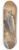Archibald Thorburn - Grey And Harbour Seals At Rest 8.25 inch art skate deck