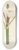 Pierre Joseph Redout - Description des plantes rares cultivees a Malmaison et a Navarre Pl.36 8.25 inch art skate deck
