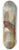 Archibald Thorburn - Red Grouse In Flight 8.25 inch art skate deck