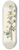 Pierre Joseph Redout - Rosa Myriacantha 8.25 inch art skate deck