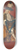 Pierre Subleyras - Portrait de Paul-Hippolyte de Beauvillier, duc de Saint-Aignan (1684-1776). 8.25 inch art skate deck