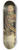 Pieter Josselin de Jong - Frederik sJacob (1822-1901). Gouverneur-generaal (1880-84) 8.25 inch art skate deck