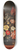 Pieter van de Venne - Roses, Tulips and Irises in a glass vase 8.25 inch art skate deck