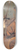 Pietro da Cortona - Chariot of Venus 8.25 inch art skate deck
