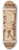 Reinier Willem Petrus de Vries - Het boek in 1903 8.25 inch art skate deck