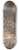 Armand Seguin - Dcoration de Bretagne 8.25 inch art skate deck