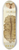 Arnold Lang - Die polycladen des golfes von Neapel und der angrenzenden meeres-abschnitte pl10 8.25 inch art skate deck