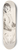 Robert Henri - Seated Woman 8.25 inch art skate deck