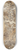 Robert Smirke - Figure Study of a Bacchanalia Celebration in a Wooded Landscape. 8.25 inch art skate deck
