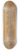 Robert Walter Weir - View of West Point 8.25 inch art skate deck