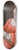 Artemisia Gentileschi - Saint Cecilia 8.25 inch art skate deck