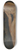 Arthur Bowen Davies - Source 8.25 inch art skate deck