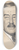 Samuel Johnson Woolf - Sir Ronald Charles Lindsay 8.25 inch art skate deck