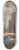 Samuel Prout - San Giorgio dei Greci, Seen from an Arcade 8.25 inch art skate deck