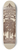 Sarkis Erganian - Gate 8.25 inch art skate deck
