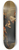Severin Falkman - Procession In Rome 8.25 inch art skate deck