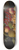 Severin Roesen - Fruit Still Life with Moth 8.25 inch art skate deck