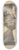 Sir George Hayter - A Study from Nature; a lion among rocks, roaring, a human skull lower right 8.25 inch art skate deck