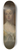 Sir Godfrey Kneller - Lady Mary Berkeley 8.25 inch art skate deck