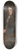 Sir Godfrey Kneller - Sir Charles Barrington, Bart. 8.25 inch art skate deck