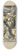 Arthur Rackham - Held a cup to catch the venomous drops 8.25 inch art skate deck