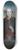 Sir Joshua Reynolds - Portrait of Charles Brandling 8.25 inch art skate deck