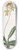 Sydenham Edwards - Ciliated Oncidium 8.25 inch art skate deck