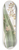 Sydenham Edwards - Oncidium-flowered Epidendrum 8.25 inch art skate deck