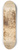 Taddeo Zuccaro - Studies for a Circular Composition of Diana and Her Nymphs Bathing 8.25 inch art skate deck