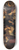 Theodoor Rombouts - The tooth-puller 8.25 inch art skate deck