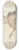 Theo van Hoytema - Dood vogeltje 8.25 inch art skate deck